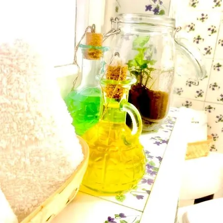 Plant House Eur Roma