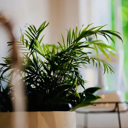Plant House Eur Casa vacanze