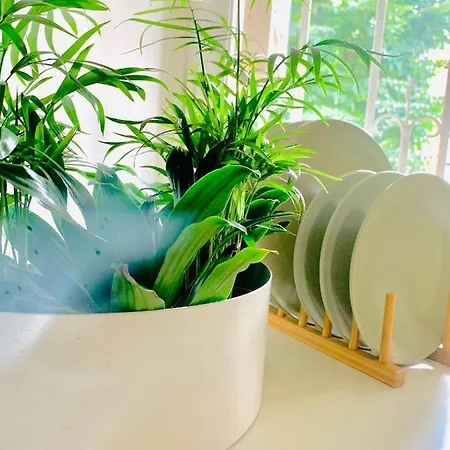 Plant House Eur *