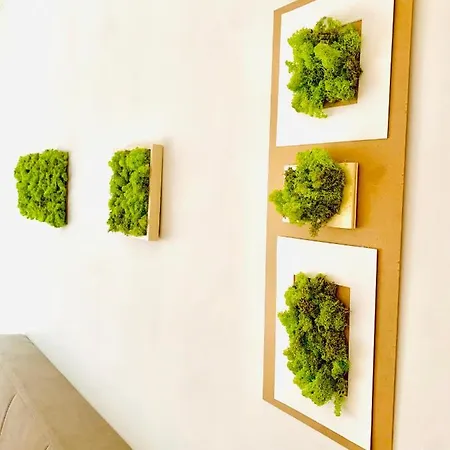 Plant House Eur Holiday home Rome