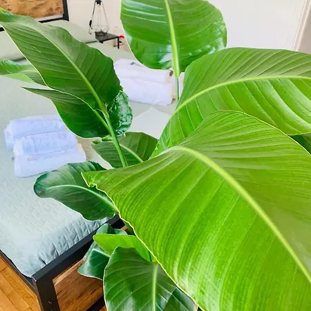 Plant House Eur * ローマ