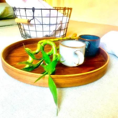 Plant House Eur Holiday home Rome