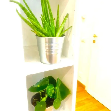 Holiday home Plant House Eur Rome