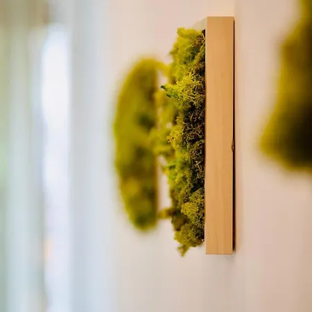 Plant House Eur * 로마